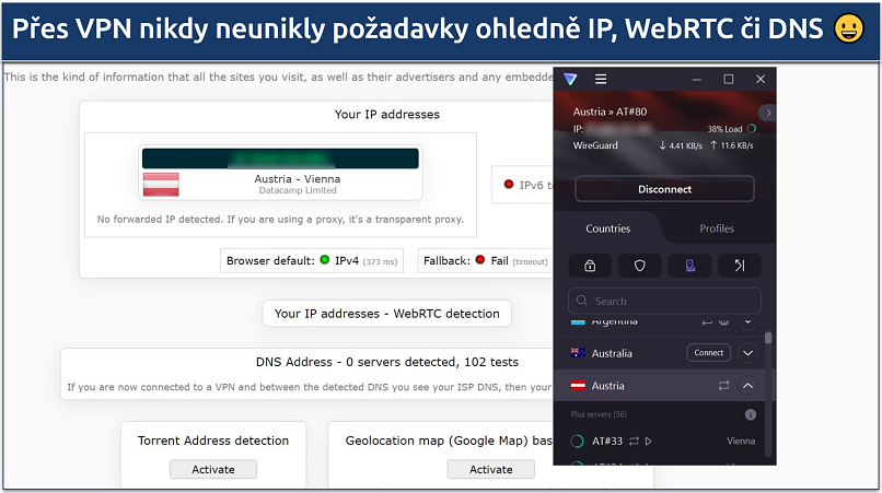 A screenshot showing Proton VPN passed DNS, IP leak, and WebRTC tests