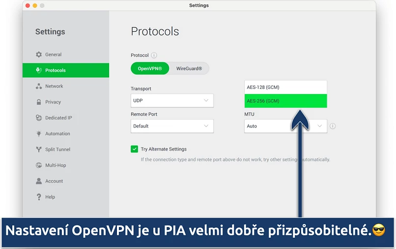 Screenshot showing the customization options on PIA's Settings menu