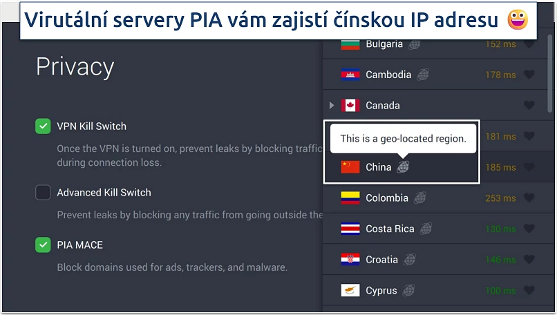 Screenshot of PIA's privacy settings and virtual servers in the app