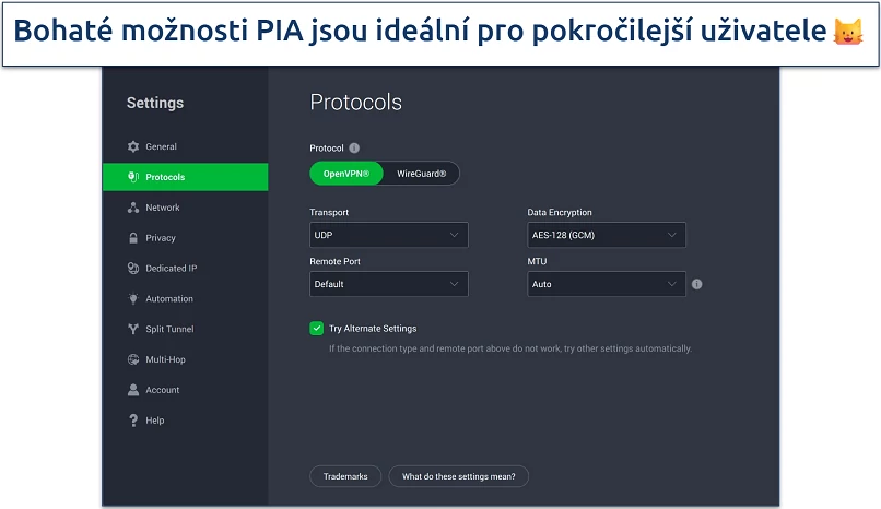 Screenshot of PIA's customizable security